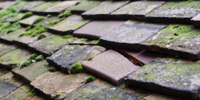 Wanstead roof repair costs